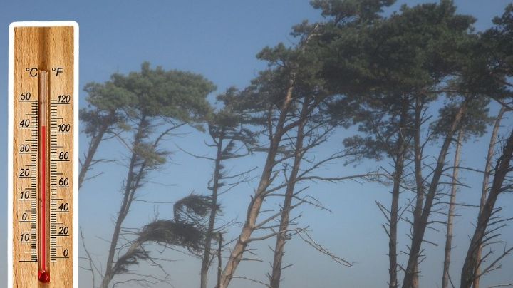 Pronostican fuerte viento y 40°C para hoy en Nuevo León