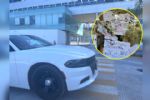 Catean TecMilenio Campus Las Torres tras abuso a menor con discapacidad