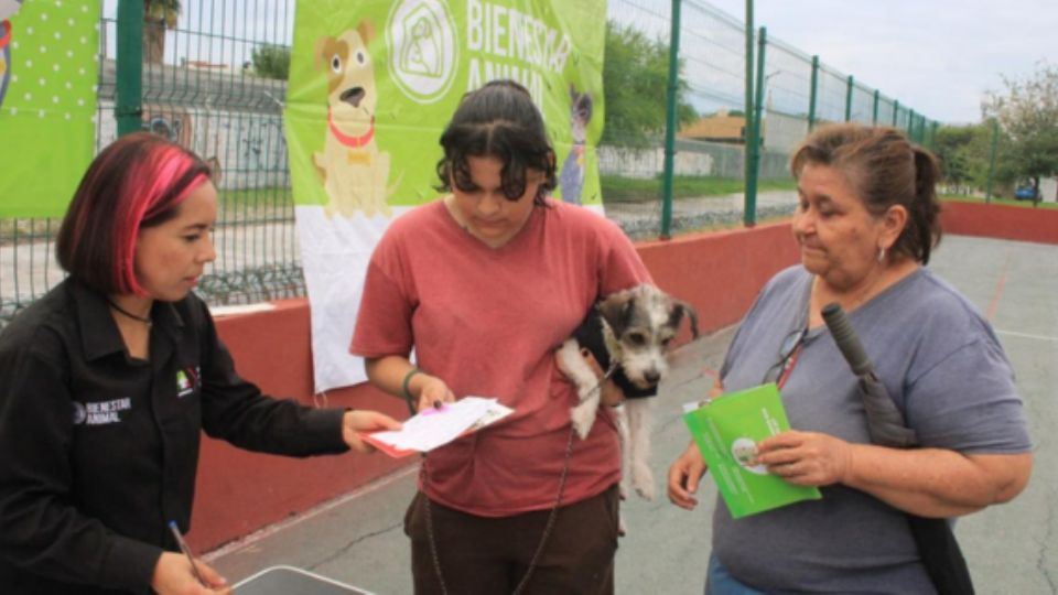 Aparte del servicio de esterilización a bajo costo, se ofrece consulta veterinaria gratuita, medicina preventiva, así como desparasitación y vacunas, todo a un precio accesible.