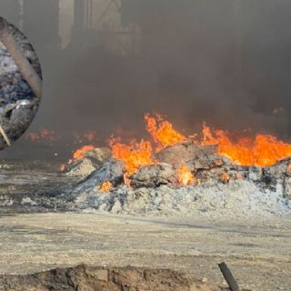 ¿Cuántos incendios sufrió Nuevo León la semana pasada?