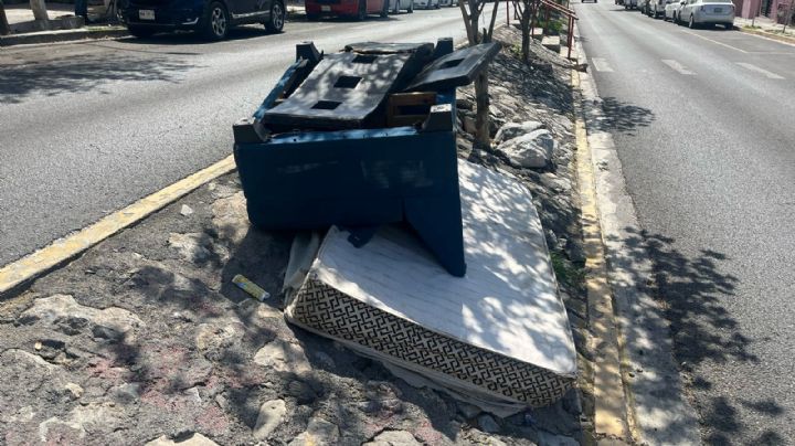 Vecinos denuncian basurero en camellón de San Pedro; dejan hasta colchones