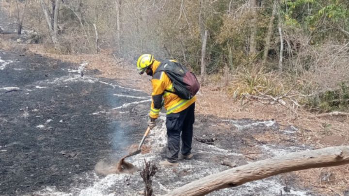 Incendios forestales del pasado fin de semana en Tamaulipas fueron provocados: Gobernador
