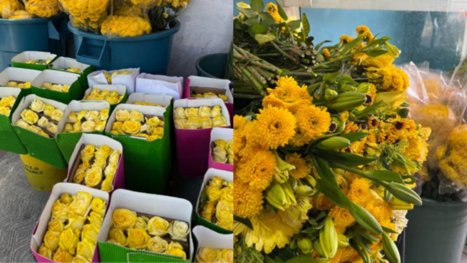 Flores amarillas.