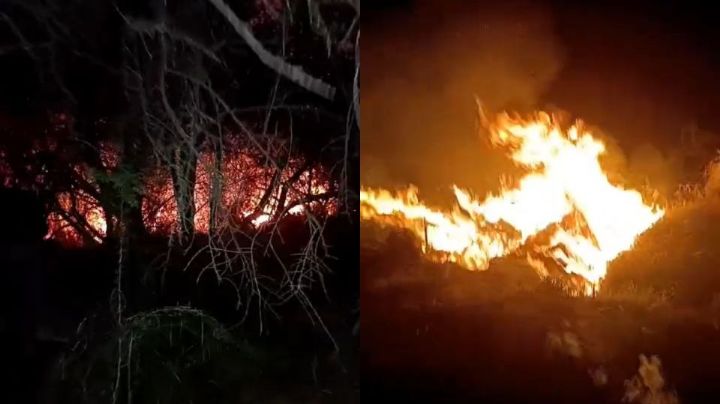 Se incendia un terreno baldío en Guadalupe