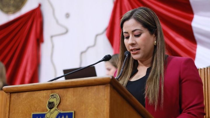 Morena busca impedir que agresores sexuales trabajen con menores en instituciones