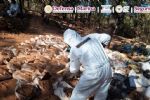 Desmantelan mega laboratorio de metanfetamina de 'Los Chapitos' en Zacatecas