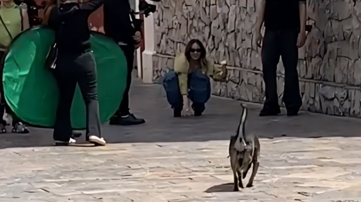 Video: Belinda comparte grabación de una película con perritos en Puebla