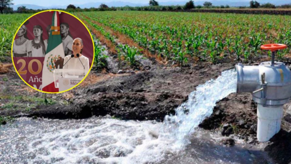 Durante la conmemoración del Día Mundial del Agua, la presidenta Claudia Sheinbaum inició la revisión de las concesiones de agua a personas y empresas en México, ante la detección de diversas irregularidades.