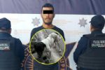 Capturan a presunto agresor de animales en Guadalupe, NL