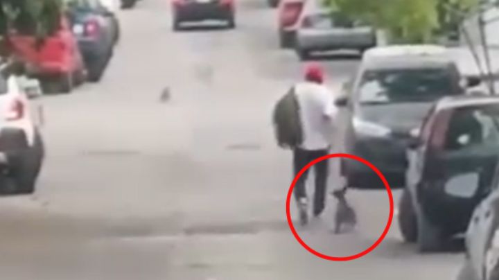 Captan a hombre arrastrando a un perrito en Arboledas de la Silla, Guadalupe