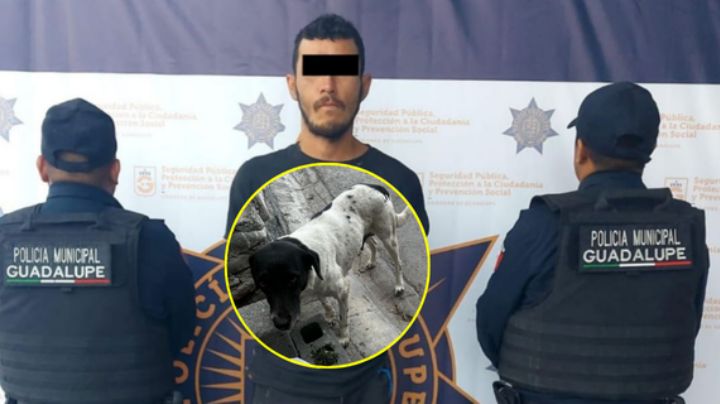 Capturan a presunto agresor de animales en Guadalupe, NL