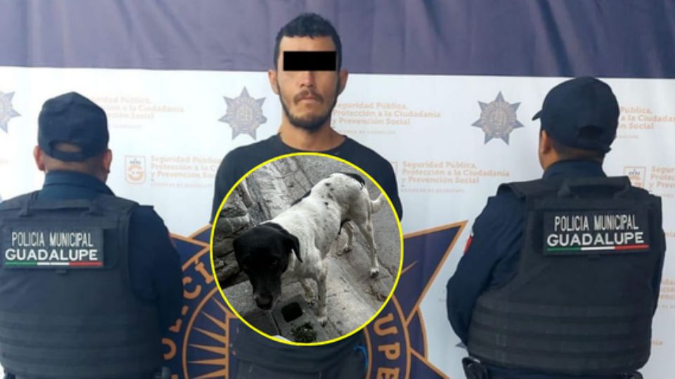 El sujeto, identificado como Jorge 'N', de 36 años, fue ubicado y detenido en la calle Hacienda Los Lermas, en su cruce con Río La Silla, en la colonia Hacienda Los Lermas.