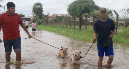Declaran  'emergencia nacional' en Bolivia por inundaciones que han dejado 51 muertos