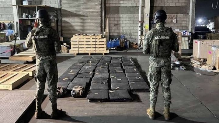Decomisan mariguana oculta en cargamento de madera en Altamira