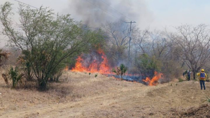 Adjudican el 90% de los incendios forestales en Tamaulipas a las quemas agropecuarias