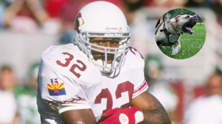 LeShon Johnson, de los Cardinals, acusado por el mayor caso de peleas de perros en EE.UU.