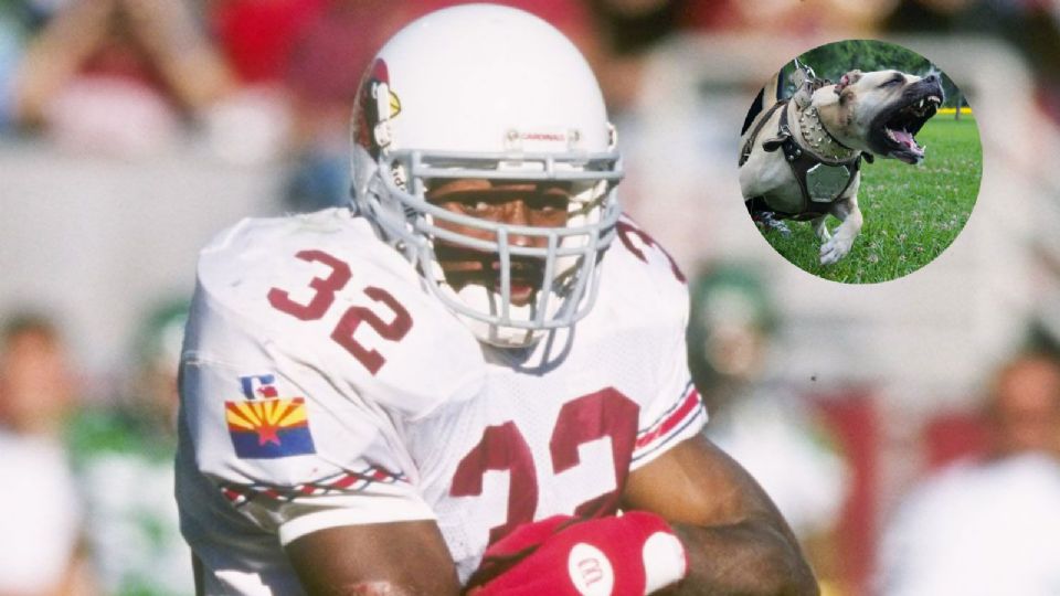 LeShon Johnson, ex de los Cardinals, en el centro del mayor caso de peleas de perros