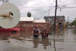 Perrita cruza inundación y pone a salvo a su cachorro en Reynosa