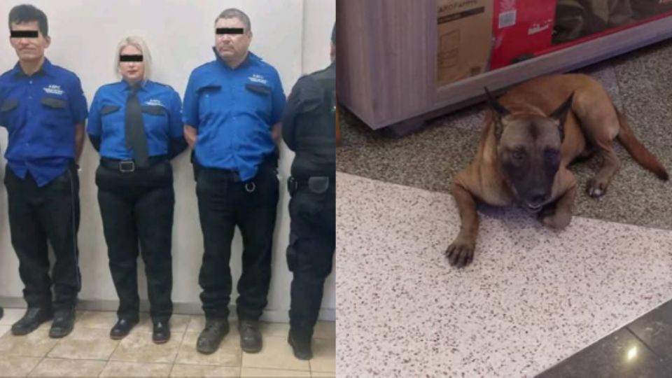 Detenidos por maltrato animal.