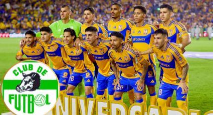 De Jabatos a Tigres: la metamorfosis de un equipo indomable