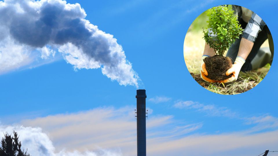 Estado invita a reforestar en casas cercanas a empresas contaminantes
