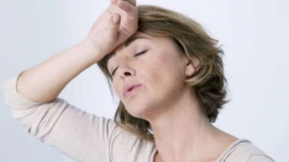 Las mexicanas que viven el climaterio o la menopausia carecen de información y atención médica adecuada a los síntomas que presentan y en ocasiones son medicadas con diagnósticos erróneos.