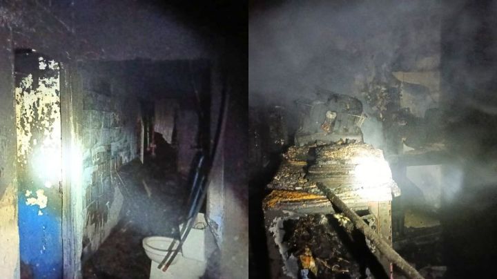 Se incendia casa en San Nicolás; rescatan a 6 gatos, 2 perros y un conejo