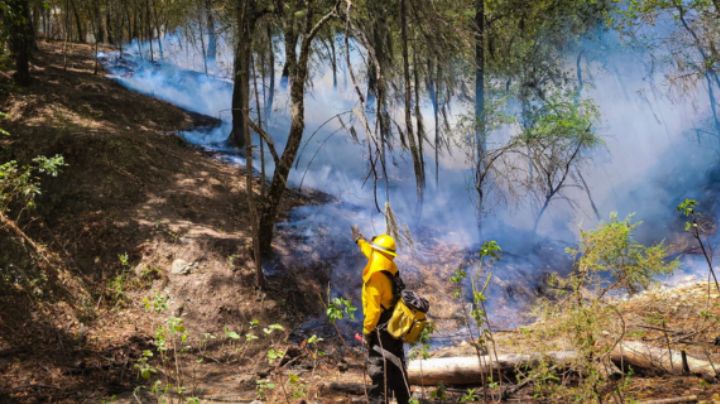 Incendio de Aramberri es liquidado al 80%