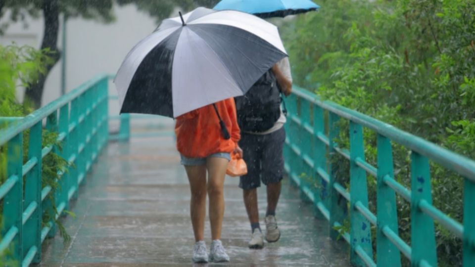 Los regios volvieron a sacar sus paraguas, pues las lluvias se hicieron presentes en Nuevo León este domingo y se mantendrán durante toda la semana.