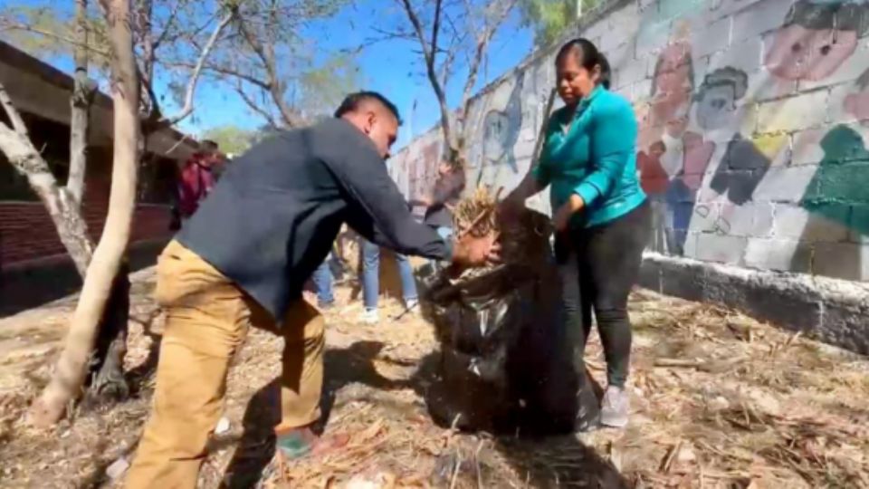 Como parte de este operativo, los trabajos incluyen limpieza profunda en las áreas comunes, poda de árboles, retiro de maleza, así como retiro de cacharros.