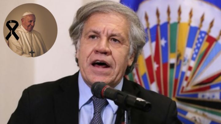 La OEA recuerda al Papa Francisco como ‘una guía permanente para todos’