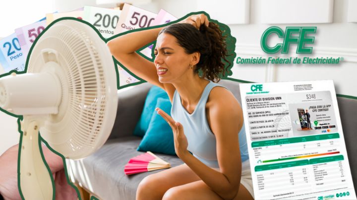 ¿Vives en el norte? CFE aplicará descuentos en tu recibo de luz a partir del 1 de mayo 2025