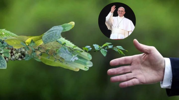 Francisco: primer Papa en adoptar el activismo ambiental