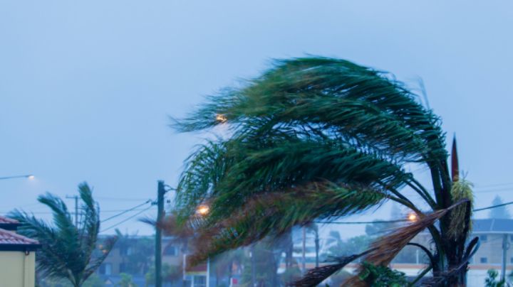 Pronostican viento fuerte para hoy en Nuevo León; advierten por caída de granizo
