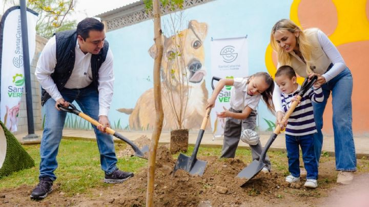 Santa Catarina planta más de 700 árboles; la meta son 5 mil