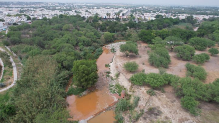 Pide Estado a Ternium plan de remediación tras contaminación de arroyo