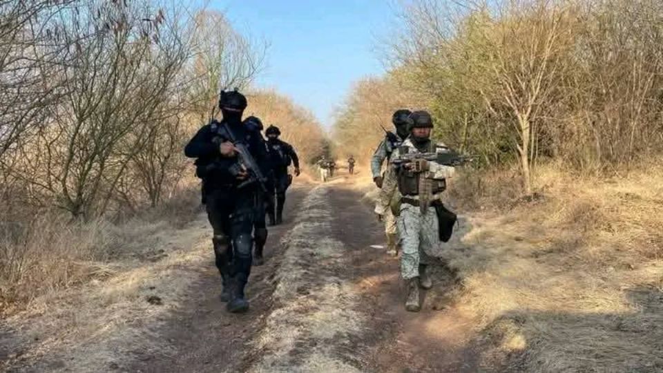 Fuerzas federales logran abatir a 6 presuntos delincuentes en Michoacán