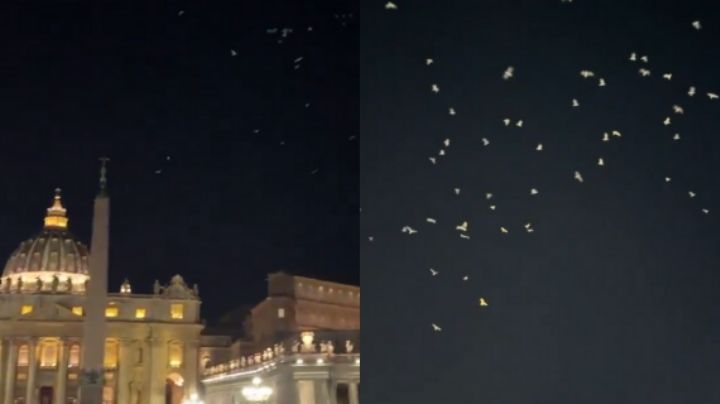 Video: Aves blancas vuelan en la Plaza de San Pedro previo a la sepultura del Papa Francisco