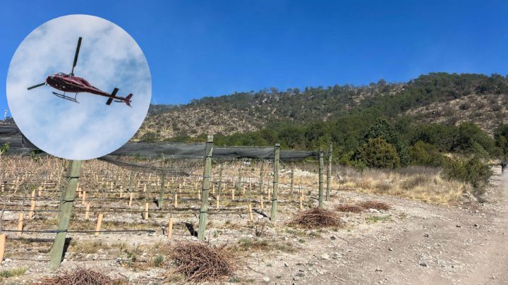 Se desploma helicóptero durante combate a incendio forestal en Sierra de Arteaga