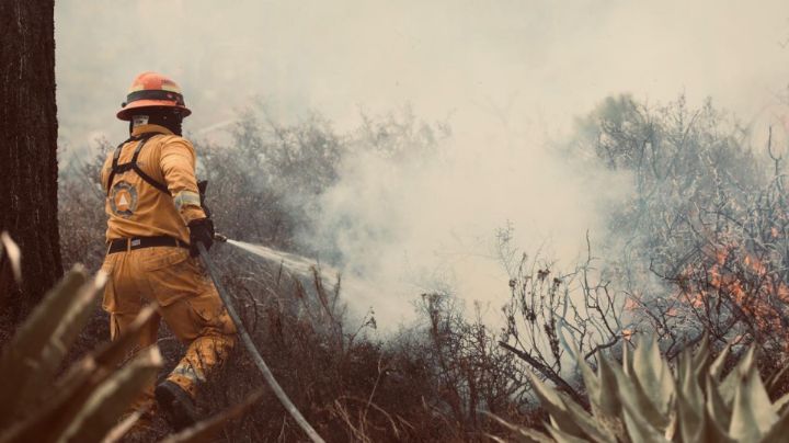 Protección Civil avanza en control de incendios forestales en Galeana