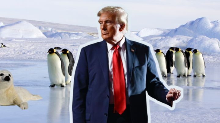 Donald Trump impone aranceles a islas habitadas sólo por ¡focas y pingüinos!