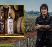 ¿Cuánto cuesta el tequila del baterista de Maná y dónde comprarlo? Aquí te decimos