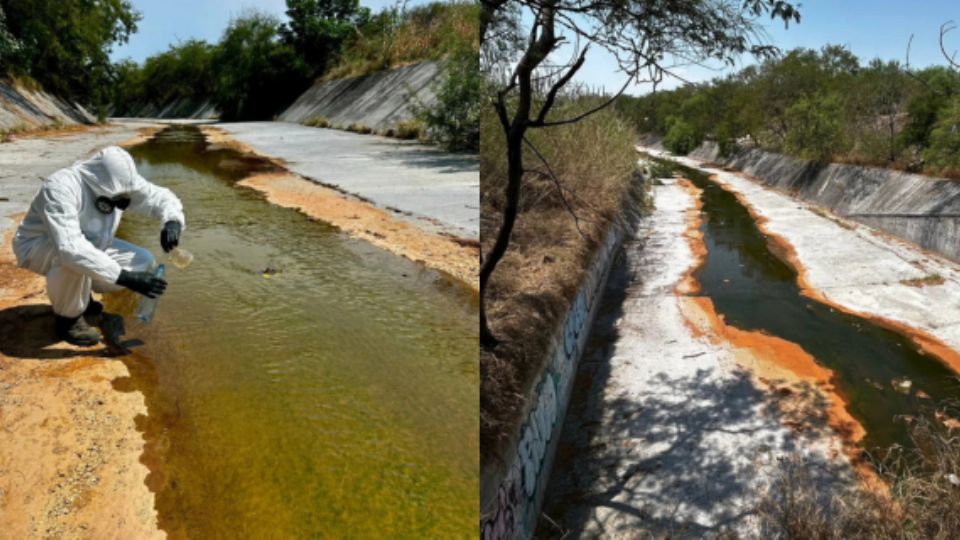 Trabajador de Parques y Vida Silvestre de Nuevo León en labor de investigación en arroyo La Talaverna.
