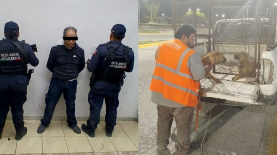 El detenido fue identificado como Jorge “N”, de 58 años de edad.