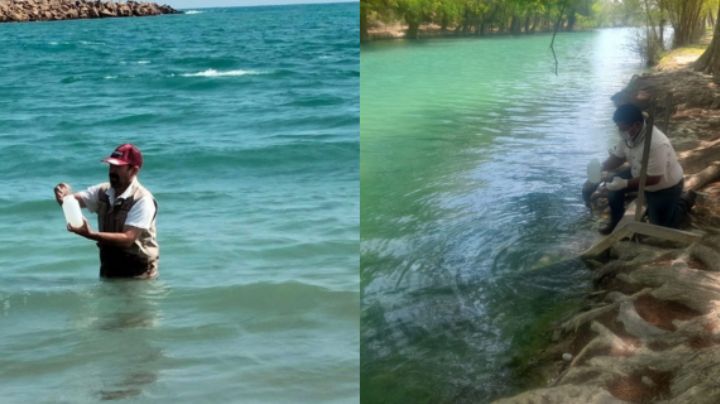 Playas y ríos de Tamaulipas presentan condiciones sanitarias adecuadas para bañistas: Coepris