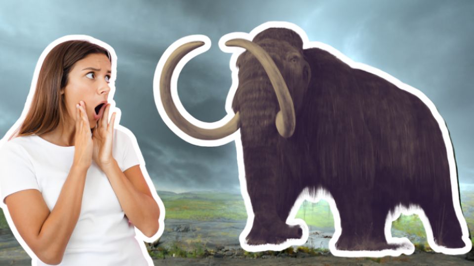 Esto pasaría si desextinguen al Mamut Lanudo.