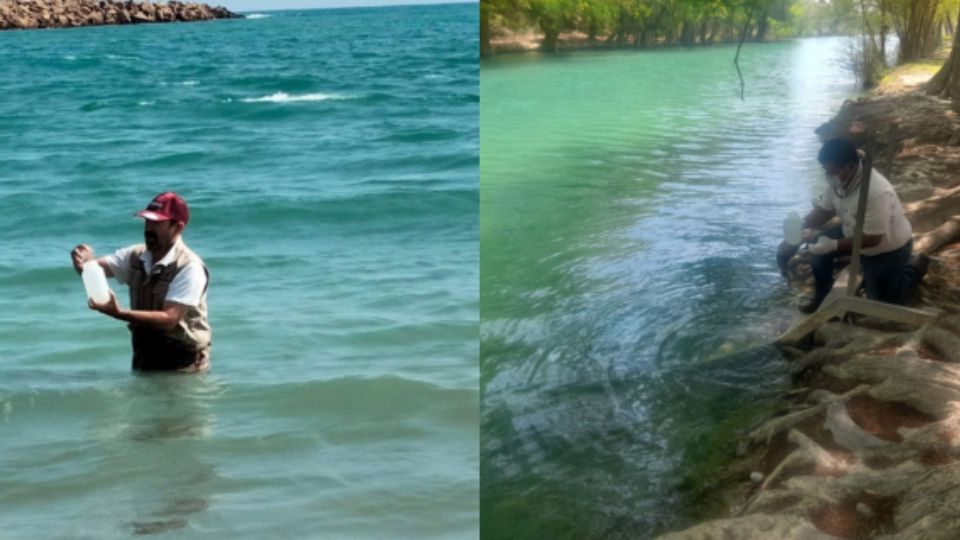 Los destinos de playa de Tamaulipas desde Miramar en Madero, hasta Bagdad de Matamoros, se encuentran en condiciones sanitarias adecuadas para recibir a los turistas. También los ríos.
