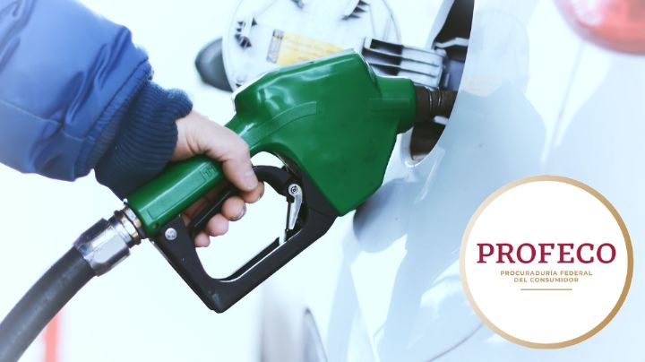 Profeco lanza plataforma que te dice dónde comprar la gasolina más barata en Monterrey