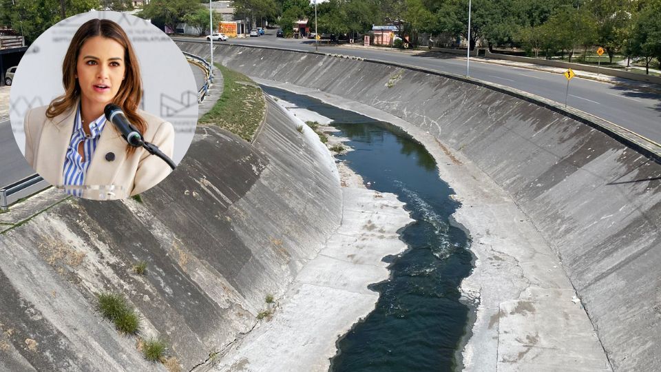 Diputada Lorena de la Garza critica a Estado por problemas de contaminación