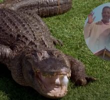 Muere ‘Morris’, el cocodrilo que participó en la película ‘Happy Gilmore’